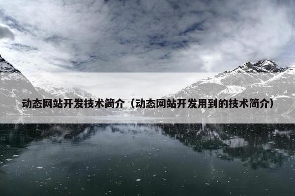 动态网站开发技术简介（动态网站开发用到的技术简介）