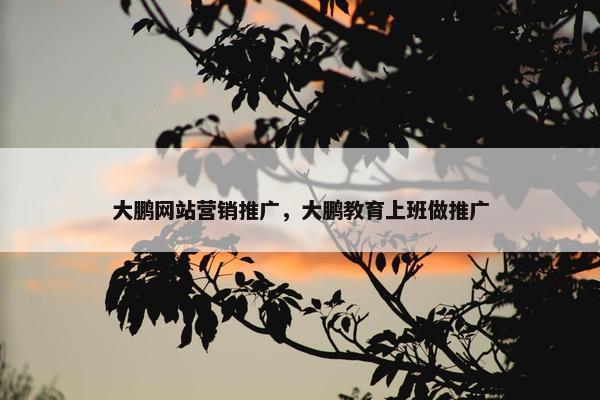 大鹏网站营销推广，大鹏教育上班做推广