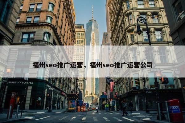 福州seo推广运营，福州seo推广运营公司