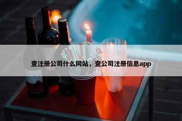查注册公司什么网站，查公司注册信息app