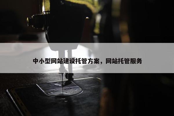 中小型网站建设托管方案，网站托管服务