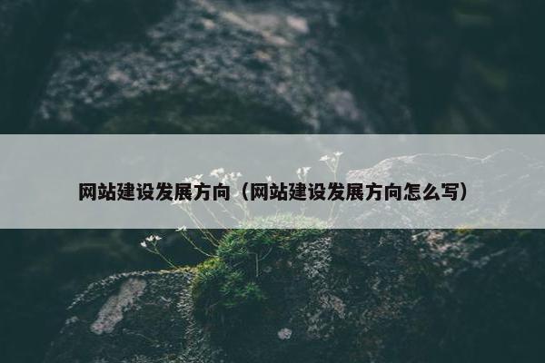 网站建设发展方向（网站建设发展方向怎么写）