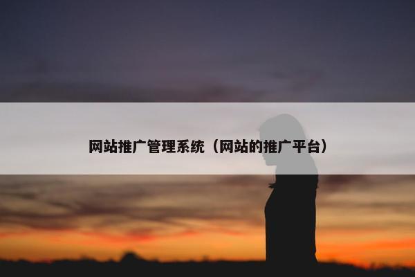 网站推广管理系统（网站的推广平台）