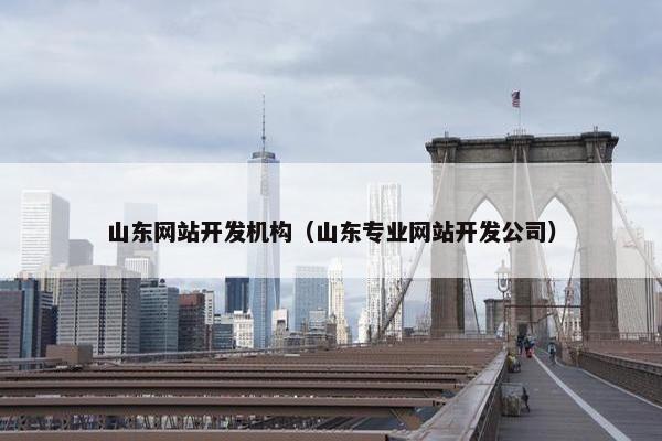 山东网站开发机构（山东专业网站开发公司）