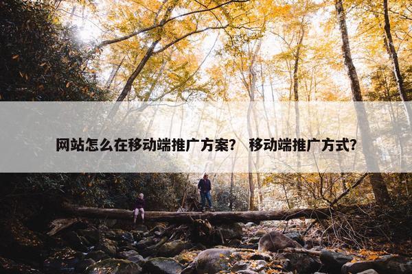 网站怎么在移动端推广方案？ 移动端推广方式？