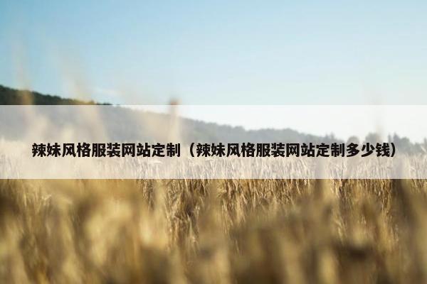 辣妹风格服装网站定制（辣妹风格服装网站定制多少钱）