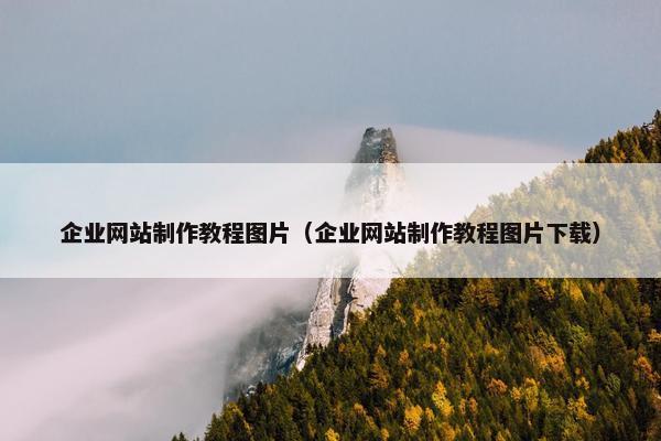 企业网站制作教程图片（企业网站制作教程图片下载）