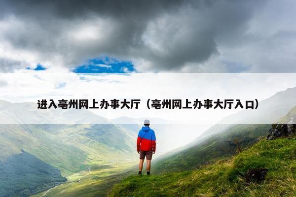 进入亳州网上办事大厅（亳州网上办事大厅入口）