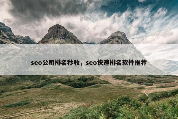 seo公司排名秒收，seo快速排名软件推荐