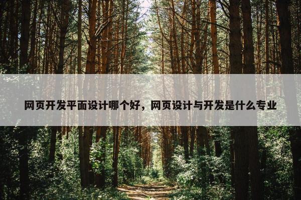 网页开发平面设计哪个好，网页设计与开发是什么专业