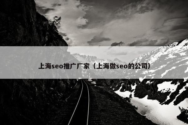 上海seo推广厂家（上海做seo的公司）