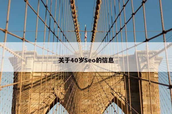 关于40岁Seo的信息