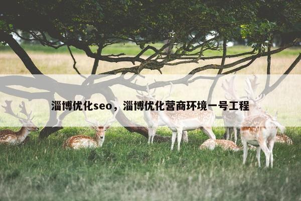 淄博优化seo，淄博优化营商环境一号工程