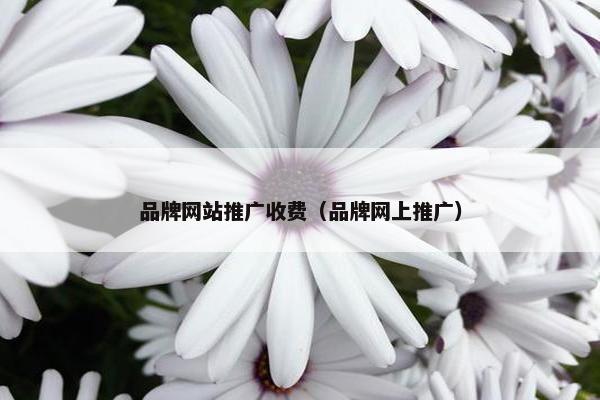 品牌网站推广收费（品牌网上推广）