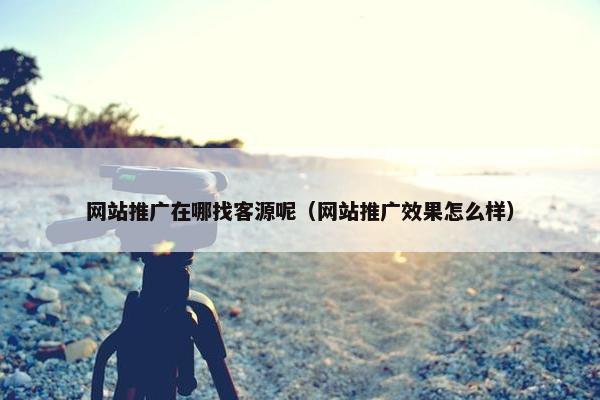 网站推广在哪找客源呢（网站推广效果怎么样）