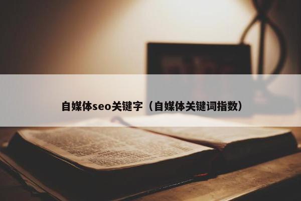 自媒体seo关键字（自媒体关键词指数）