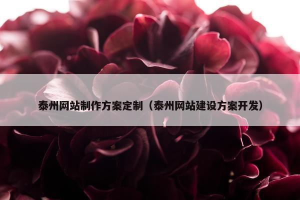 泰州网站制作方案定制（泰州网站建设方案开发）