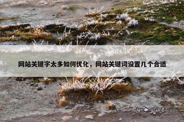 网站关键字太多如何优化，网站关键词设置几个合适