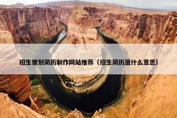 招生策划简历制作网站推荐（招生简历是什么意思）