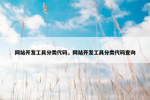 网站开发工具分类代码，网站开发工具分类代码查询