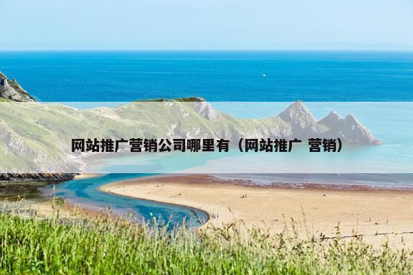 网站推广营销公司哪里有（网站推广 营销）