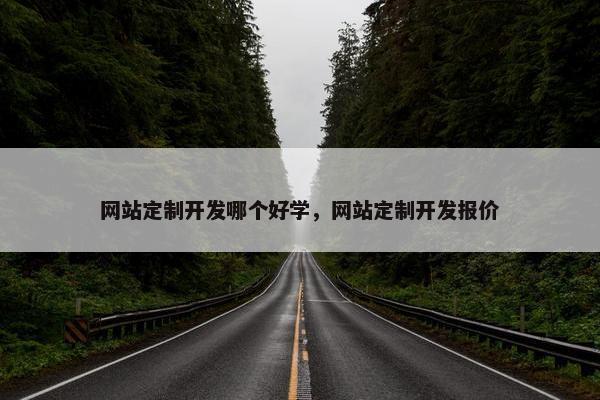 网站定制开发哪个好学，网站定制开发报价