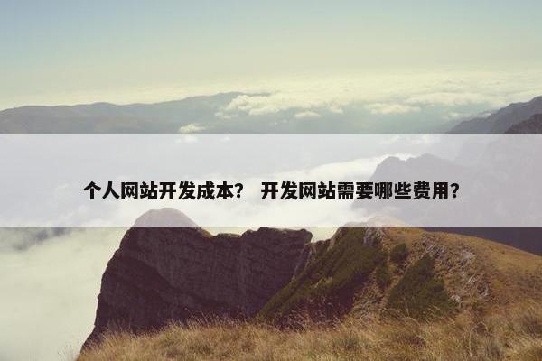 个人网站开发成本？ 开发网站需要哪些费用？