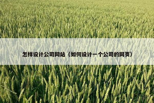 怎样设计公司网站（如何设计一个公司的网页）