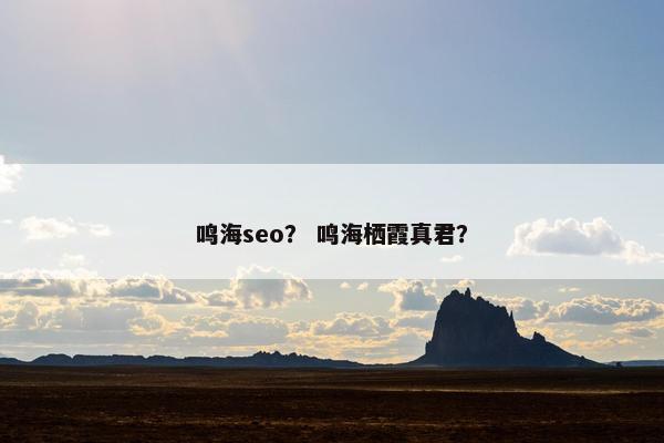 鸣海seo？ 鸣海栖霞真君？