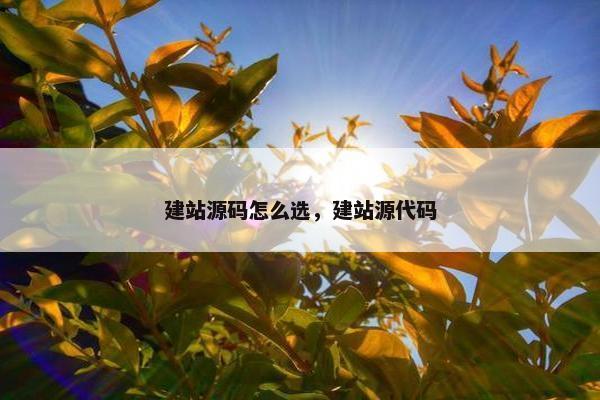 建站源码怎么选，建站源代码