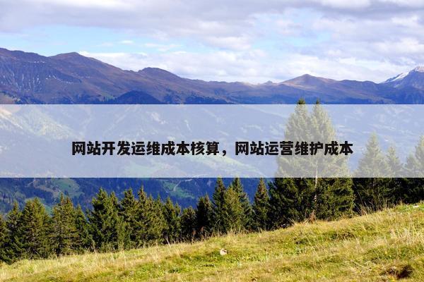 网站开发运维成本核算，网站运营维护成本