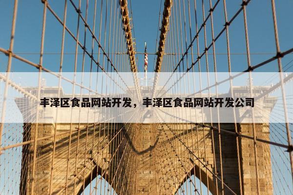 丰泽区食品网站开发，丰泽区食品网站开发公司