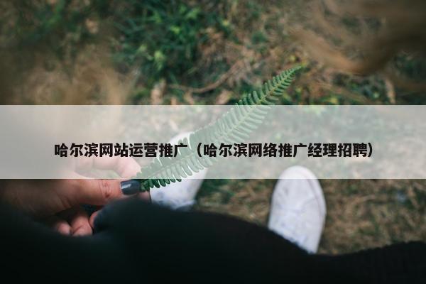 哈尔滨网站运营推广（哈尔滨网络推广经理招聘）