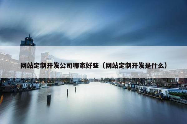 网站定制开发公司哪家好些（网站定制开发是什么）