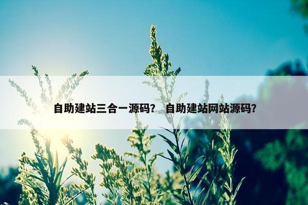 自助建站三合一源码？ 自助建站网站源码？