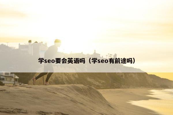 学seo要会英语吗（学seo有前途吗）