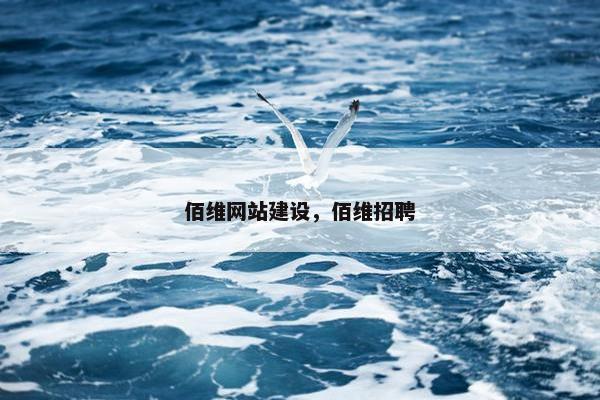 佰维网站建设，佰维招聘