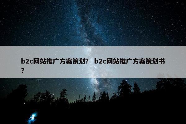b2c网站推广方案策划？ b2c网站推广方案策划书？