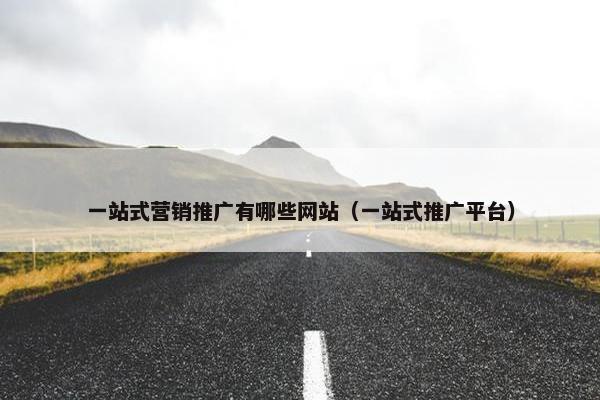 一站式营销推广有哪些网站（一站式推广平台）