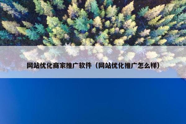 网站优化商家推广软件（网站优化推广怎么样）