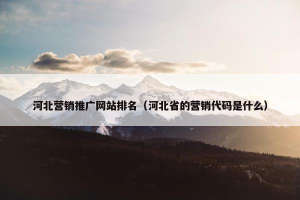 河北营销推广网站排名（河北省的营销代码是什么）