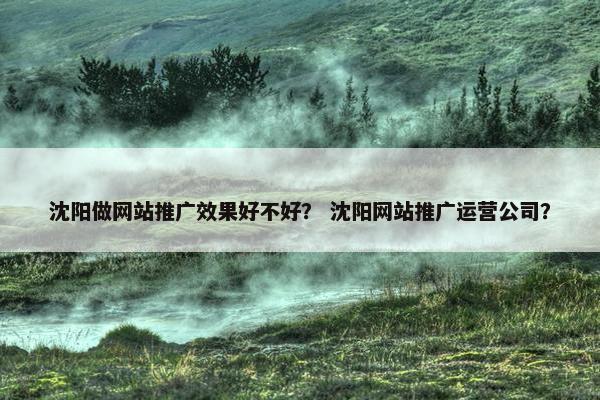 沈阳做网站推广效果好不好？ 沈阳网站推广运营公司？