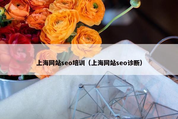 上海网站seo培训（上海网站seo诊断）