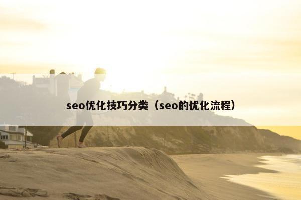 seo优化技巧分类（seo的优化流程）