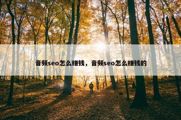 音频seo怎么赚钱，音频seo怎么赚钱的