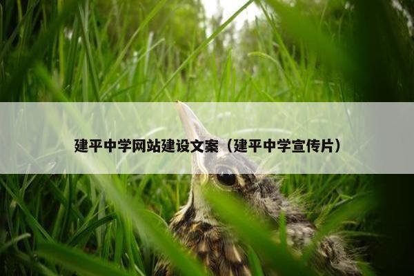 建平中学网站建设文案（建平中学宣传片）