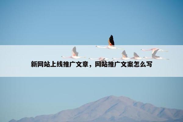 新网站上线推广文章，网站推广文案怎么写