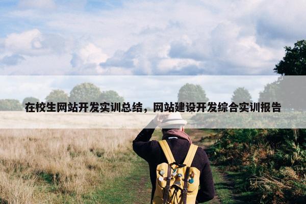 在校生网站开发实训总结，网站建设开发综合实训报告