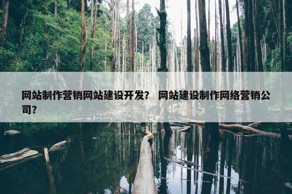 网站制作营销网站建设开发？ 网站建设制作网络营销公司？