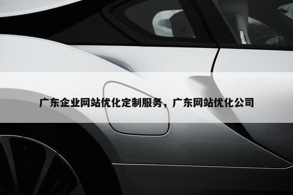 广东企业网站优化定制服务，广东网站优化公司